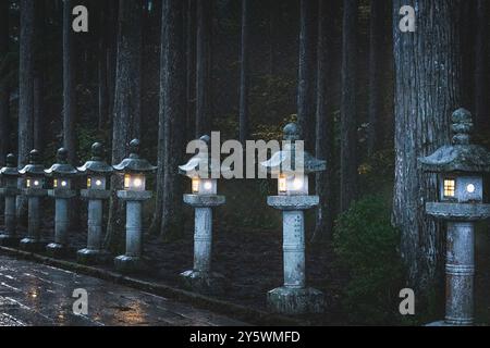 Okuno-in u Okunoin Friedhof Details im Herbst Stockfoto