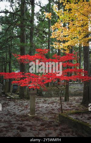 Okuno-in u Okunoin Friedhof Details im Herbst Stockfoto