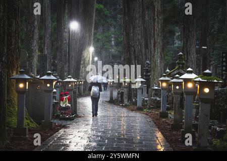 Okuno-in u Okunoin Friedhof Details im Herbst Stockfoto