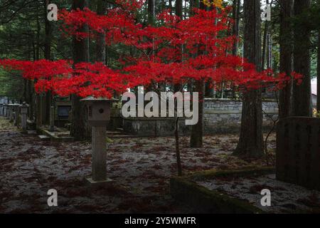 Okuno-in u Okunoin Friedhof Details im Herbst Stockfoto