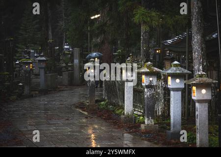 Okuno-in u Okunoin Friedhof Details im Herbst Stockfoto