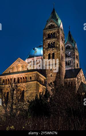 Dom zu Speyer in der blauen Stunde, vertikal Stockfoto