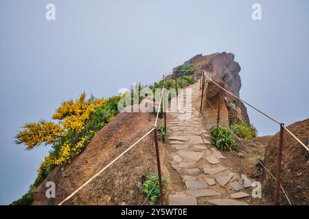 Der Wanderweg zwischen Pico de Arieiro und Pico Ruivo in Wolken, Madeira, Portugal Stockfoto