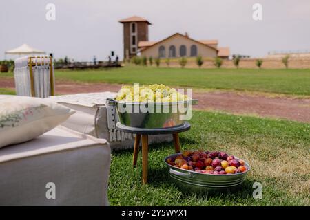 Eine Nahaufnahme von frischen Trauben und Pflaumen in Metallschalen auf einem grasbewachsenen Feld mit einem rustikalen Gebäude im Hintergrund. Stockfoto