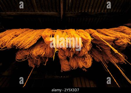 Wolle gelb gefärbt trocknend, Souk der Färber. Marrakesch. Marokko. Stockfoto