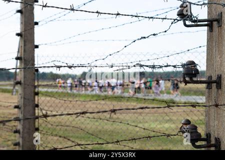 Besuchergruppe im Konzentrationslager Birkenau, Oswiecim, Polen Stockfoto