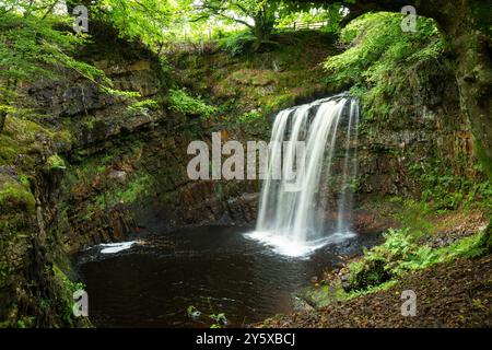 Dalcairney Falls in der Nähe von Dalmellington, Ayrshire, Schottland Stockfoto