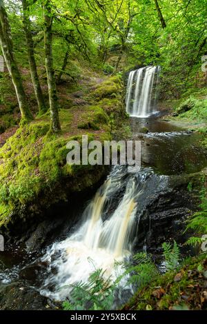 Dalcairney Falls in der Nähe von Dalmellington, Ayrshire, Schottland Stockfoto