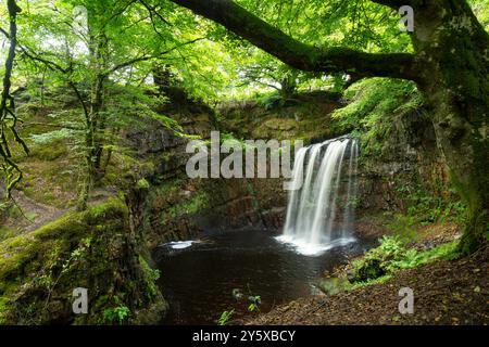 Dalcairney Falls in der Nähe von Dalmellington, Ayrshire, Schottland Stockfoto