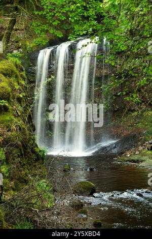 Dalcairney Falls in der Nähe von Dalmellington, Ayrshire, Schottland Stockfoto