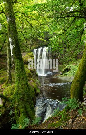 Dalcairney Falls in der Nähe von Dalmellington, Ayrshire, Schottland Stockfoto