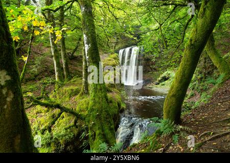 Dalcairney Falls in der Nähe von Dalmellington, Ayrshire, Schottland Stockfoto