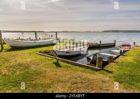 Ruderboote in einer denkmalgeschützten Werft bei Maasholm an der Schlei. Maasholm, Strandweg, Geltinger Bucht, Schleswig-Holstein, Deutschland Stockfoto