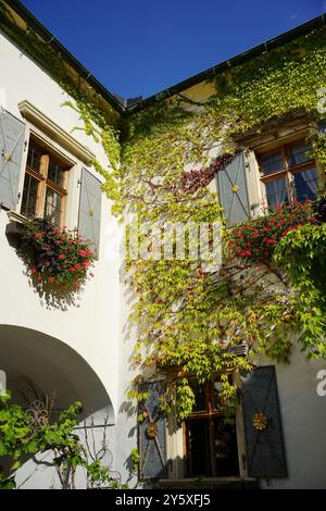 Gemütliches altes Haus bedeckt mit kriechenden Pflanzen, fotografiert an einem sonnigen Septembertag. Rost, Österreich. Stockfoto