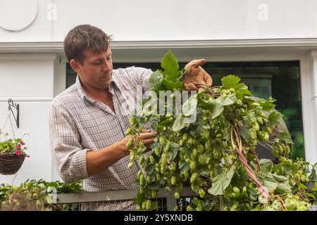 England, Kent, Faversham, Das Jährliche Hop Festival, Farmer Selling Hop Vines Stockfoto