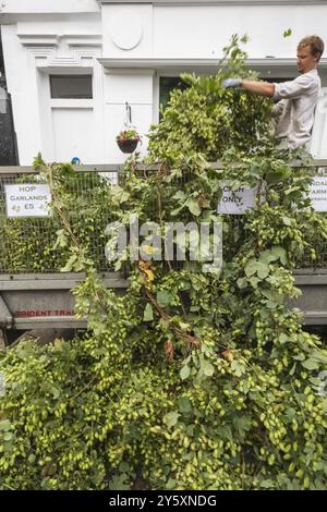 England, Kent, Faversham, Das Jährliche Hop Festival, Farmer Selling Hop Vines Stockfoto