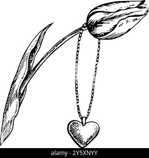 Ein herzförmiger Anhänger an einer Kette. Ein Schmuckanhänger, der an einer Tulpe hängt. Eine schwarz-weiße Vektorgrafik-Illustration, die von Hand gemacht wurde. Isolieren Sie auf A Stock Vektor