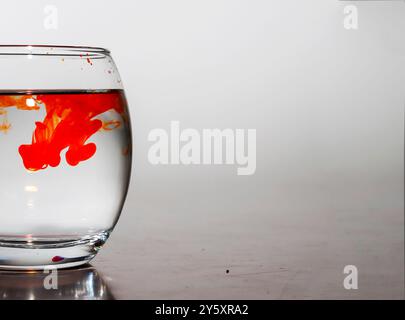 Nahaufnahme eines orangefarbenen Tropfens auf dem Wasser im Glas mit weißem Hintergrund Stockfoto