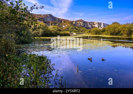 Der See Llyn Llwynog im holyhead Breakwater Country Park. Der Breakwater Country Park wurde 1990 auf dem Gelände eines alten Steinbruchs eröffnet, der Steine für die Versorgung lieferte Stockfoto