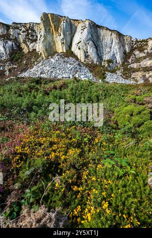 Breakwater Country Park wurde 1990 auf dem Gelände eines alten Steinbruchs eröffnet, der den Holyhead Breakwater, den längsten in Europa, mit Steinen versorgte. Stockfoto