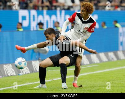 Frankfurt, Deutschland. September 2024. Deutschland, Frankfurt, 1. Bundesliga, Fußball, Eintracht Frankfurt - Borussia Mönchengladbach, Deutsche Bank Park, 21. September 2024, Ligaspiel, 4. Spieltag, Männer, Staffel 2024/25 f.le. Joe Scally (Borussia Mönchengladbach, 29) gegen Hugo Ekitike (Eintracht Frankfurt, 11). Quelle: HMB Media/Alamy Live News Stockfoto