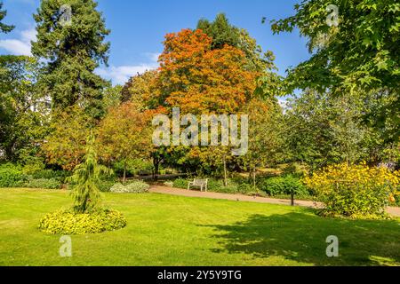 Wunderschöne pulsierende Landschaft in Jephson Gardens, Leamington Spa, Großbritannien. Stockfoto