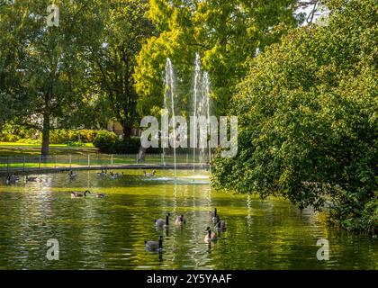 Wunderschöne pulsierende Landschaft in Jephson Gardens, Leamington Spa, Großbritannien. Stockfoto