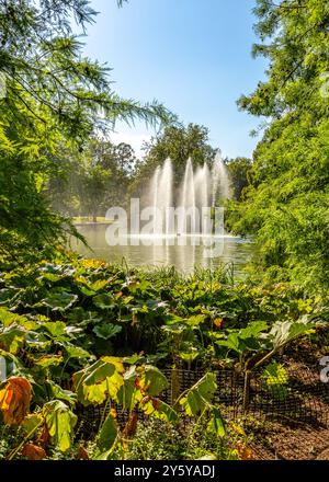 Wunderschöne pulsierende Landschaft in Jephson Gardens, Leamington Spa, Großbritannien. Stockfoto