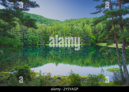 Ein ruhiger, unberührter, künstlicher Teich in der Präfektur Nagano, Japan, umgeben von einer Mischung aus immergrünen und Laubbäumen, die sich perfekt auf dem Glas-l widerspiegeln Stockfoto