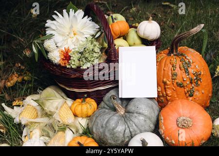 Outdoor-Komposition im Herbst. Kürbisse, Körner und Dahlienblüten. Äpfel, Trauben Obst im Korb. Herbsternte im Garten. Leere Grußkarte Einladung Stockfoto