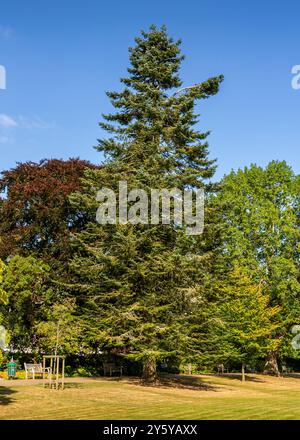 Wunderschöne pulsierende Landschaft in Jephson Gardens, Leamington Spa, Großbritannien. Stockfoto