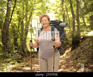 Reife Wanderer im Wald mit Rucksack Stockfoto