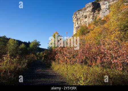 Der Weg führt durch die zerklüfteten Kalksteinklippen des Belt Creek Canyon und durch die leuchtende Herbstfarbe entlang eines verlassenen Bergbaubahnbetts. Sluice Boxes State Park, MT. Stockfoto