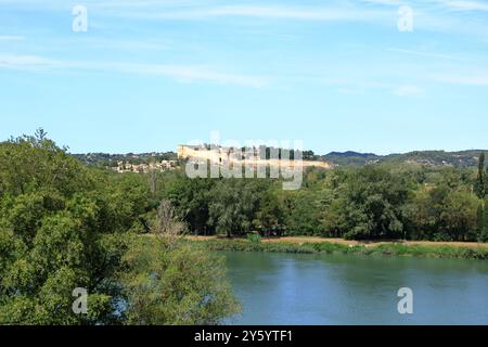 Der Blick auf das Fort Saint Andre, mittelalterliche Festung in Avignon, Frankreich Stockfoto
