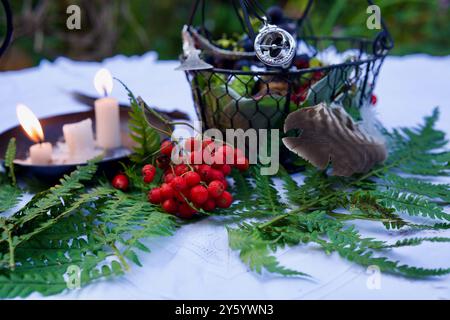 Haselnüsse und blaue Trauben in einem Korb Stockfoto