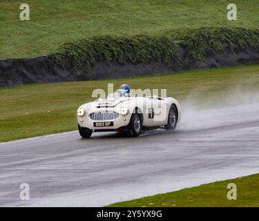 1958 Austin Healey 100/6 Registrierung 6183BP Rennen im Regen beim Goodwood Revival 2024 Stockfoto