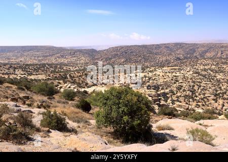 Blick auf die Landschaft des Dana Biosphere Nature Reserve National Park, Jordanien Stockfoto