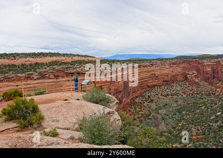 Blick auf den Fallen Rock mit Sandsteinblock, der von der Klippenwand im Ute Canyon des Colorado National Monument getrennt ist Stockfoto