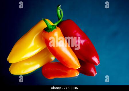 Eine Auswahl an roten, orangen und gelben Paprika auf einem Spiegel mit dunklem Hintergrund. Stockfoto