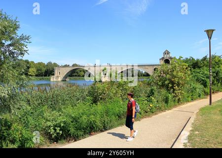 Avignon, Frankreich in Europa - 25. August 2024: Die Menschen genießen die Brücke Pont Saint Benezet und die Rhone Stockfoto