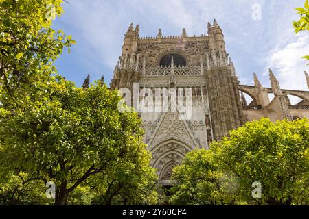 Die Kathedrale von Santa Maria di See, oder die Kathedrale von Sevilla, ist die größte gotische Kathedrale der Welt und gehört zum UNESCO-Weltkulturerbe in Spanien Stockfoto