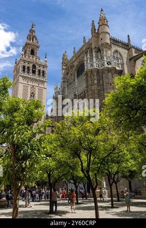 Die Kathedrale von Santa Maria di See, oder die Kathedrale von Sevilla, ist die größte gotische Kathedrale der Welt und gehört zum UNESCO-Weltkulturerbe in Spanien Stockfoto