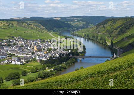 Eine ruhige Landschaft mit einem Dorf am Fluss, umgeben von Weinbergen und grünen Hügeln unter blauem Himmel, Trittenheim, Mosel, Moselschleife, Leiwe Stockfoto