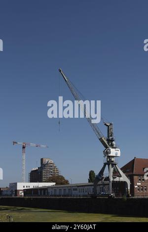 Altes Silogebäude, Lager, davor Baukran und Hafenkran, Magdeburger Wissenschaftshafen, Sachsen-Anhalt, Deutschland, Europa Stockfoto