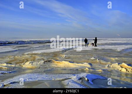 Deutschland Niedersachsen Varel Dangast Land Butjadingen Stroller Winter, Ostfriesland, Niedersachsen, Bundesrepublik Deutschland Stockfoto