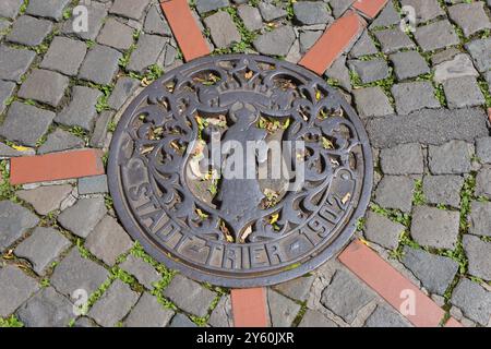 Ein kunstvoller Mannlochdeckel mit Stadtwappen auf einem Kopfsteinpflasterboden mit Herbstlaub in Trier, Mannlochdeckel, Gully Cover, Trier, Rheinland-Pfalz Stockfoto