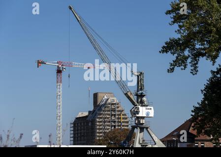 Altes Silogebäude, Lager, davor Baukran und Hafenkran, Magdeburger Wissenschaftshafen, Sachsen-Anhalt, Deutschland, Europa Stockfoto