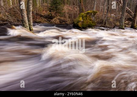 Schnell fließendes Wasser auf einem kleinen Fluss im Frühling, Finnland Stockfoto