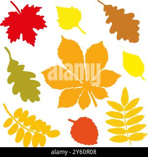 Herbstlaub von verschiedenen Bäumen, Eiche, Ahorn, Kastanien, Apfelbaum. Handgezeichnete Vektorillustration auf weißem Hintergrund Stock Vektor