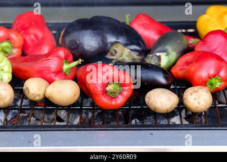 Verschiedene Gemüsesorten (Paprika, Kartoffeln, Auberginen), die auf einem Grill kochen. Stockfoto